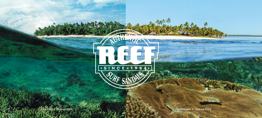 Reef Malaysia