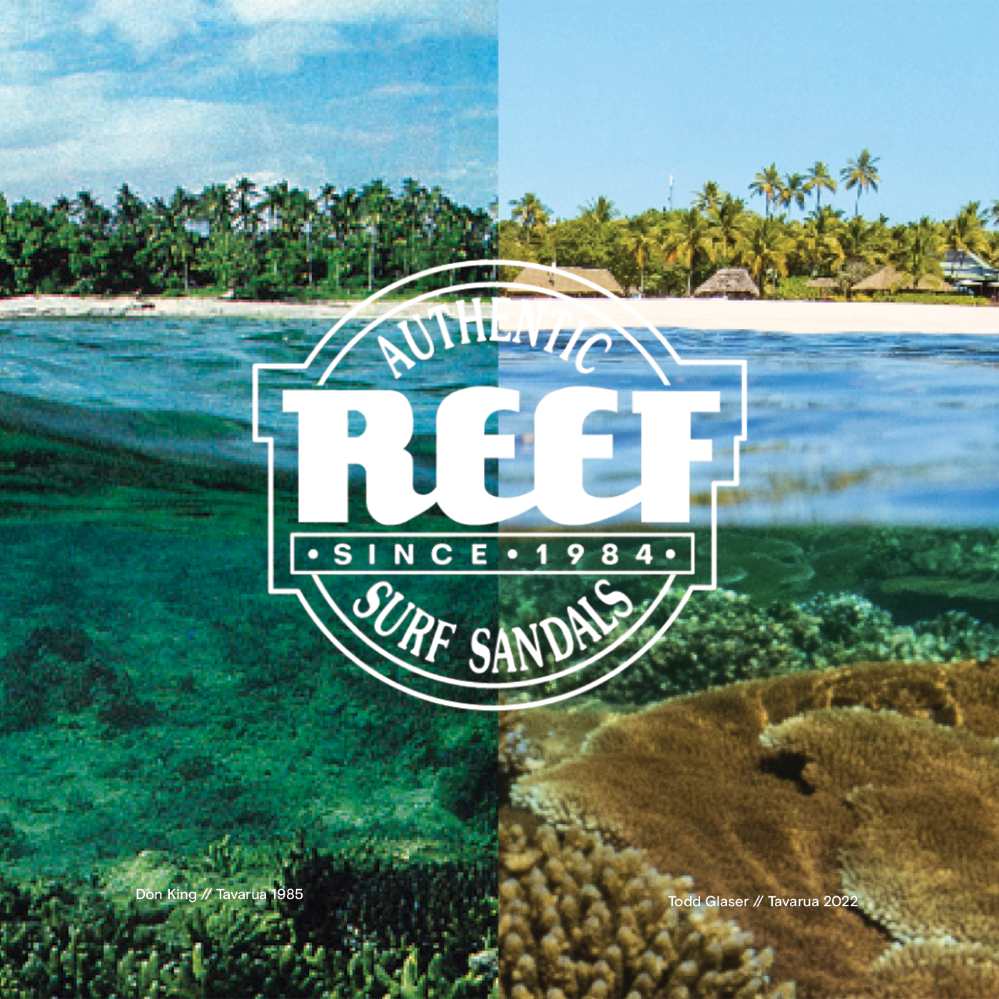 Reef Malaysia